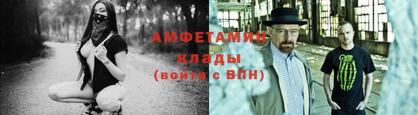 ПСИЛОЦИБИНОВЫЕ ГРИБЫ Строитель