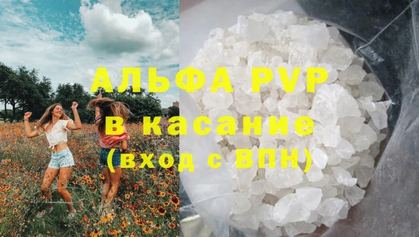 ПСИЛОЦИБИНОВЫЕ ГРИБЫ Строитель