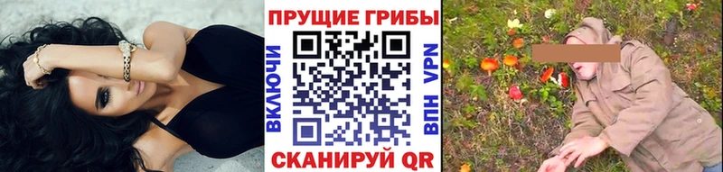 Псилоцибиновые грибы Cubensis  Гороховец 