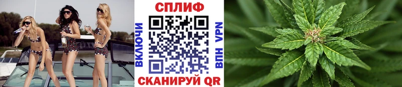 Канабис сатива Гороховец